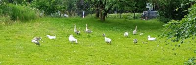 I en av stadens parker.