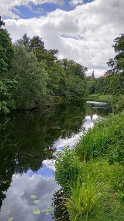 En av stadens parker.